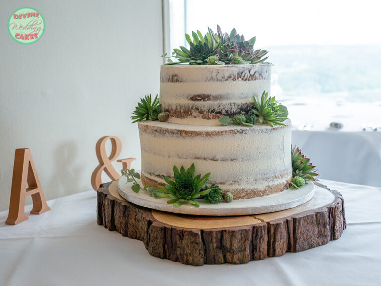 Semi-naked cake with succulents